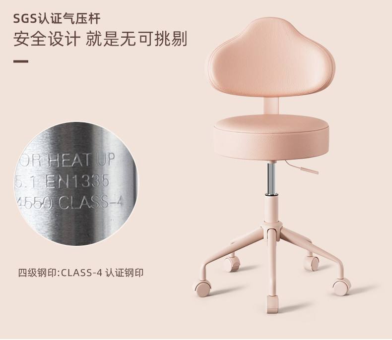 Dressing Chair Bedroom Compute - Beauty Makeup Desk 评论和价格