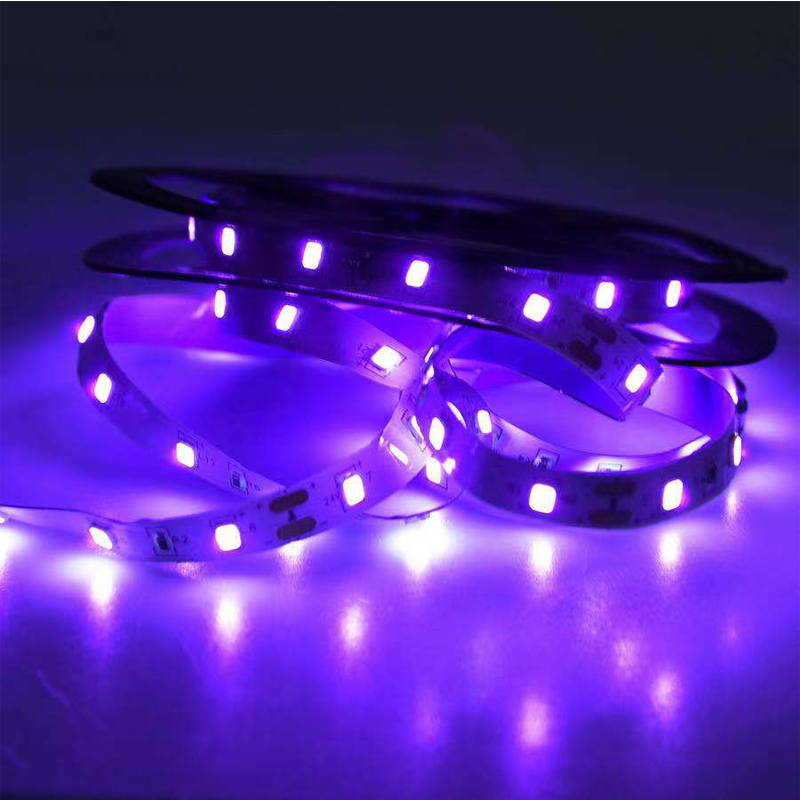 UV LED Ultraviolet Light, Blac - Uv Nail Lamp 评论和价格